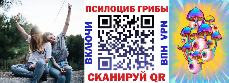 Псилоцибиновые грибы мицелий  наркошоп  блэк спрут ссылки  Новотитаровская 